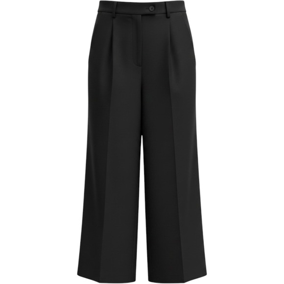 Babaton Pants - Babaton Aritzia Black Pleated Wide Leg Trousers Pants Sz 0  High Rise Minimalist